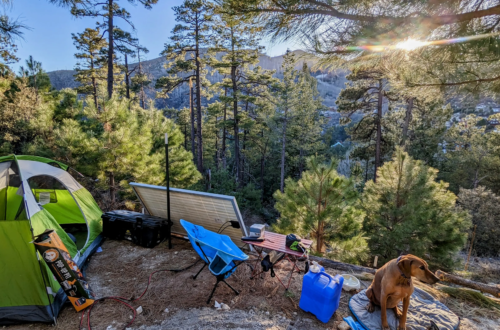 Mount Lemmon Camping