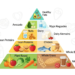 New Food Pyramid